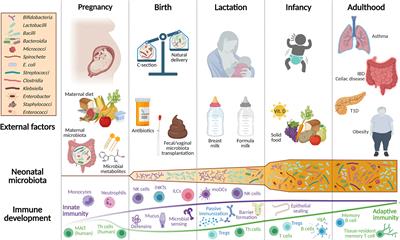 Maternal Microbiota, Early Life Colonization and Breast Milk Drive Immune Development in the Newborn